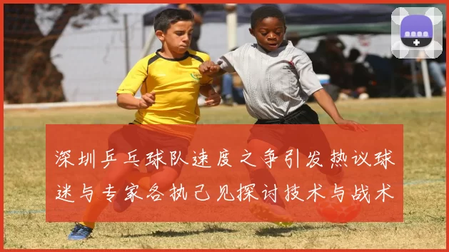 深圳乒乓球队速度之争引发热议球迷与专家各执己见探讨技术与战术