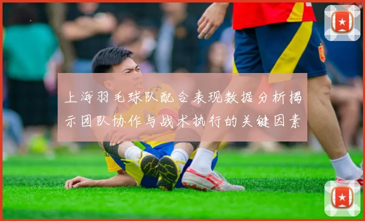 上海羽毛球队配合表现数据分析揭示团队协作与战术执行的关键因素