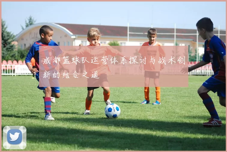成都篮球队运营体系探讨与战术创新的结合之道