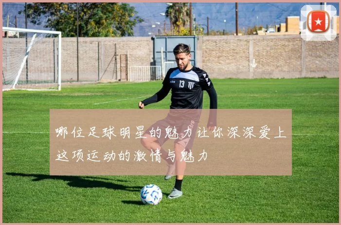 哪位足球明星的魅力让你深深爱上这项运动的激情与魅力