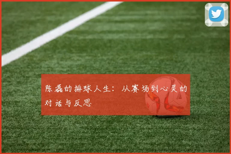 陈磊的排球人生：从赛场到心灵的对话与反思