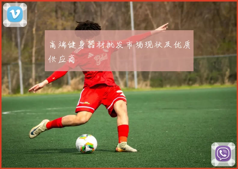 高端健身器材批发市场现状及优质供应商