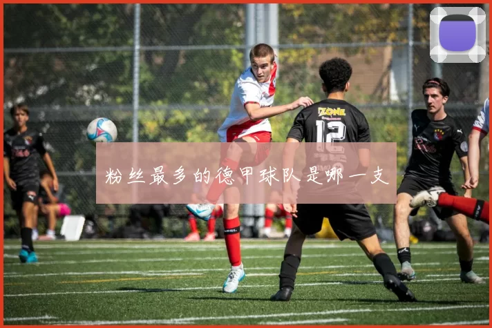 粉丝最多的德甲球队是哪一支