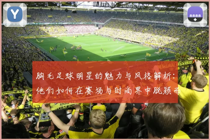 胸毛足球明星的魅力与风格解析：他们如何在赛场与时尚界中脱颖而出