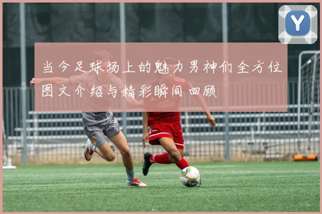 当今足球场上的魅力男神们全方位图文介绍与精彩瞬间回顾