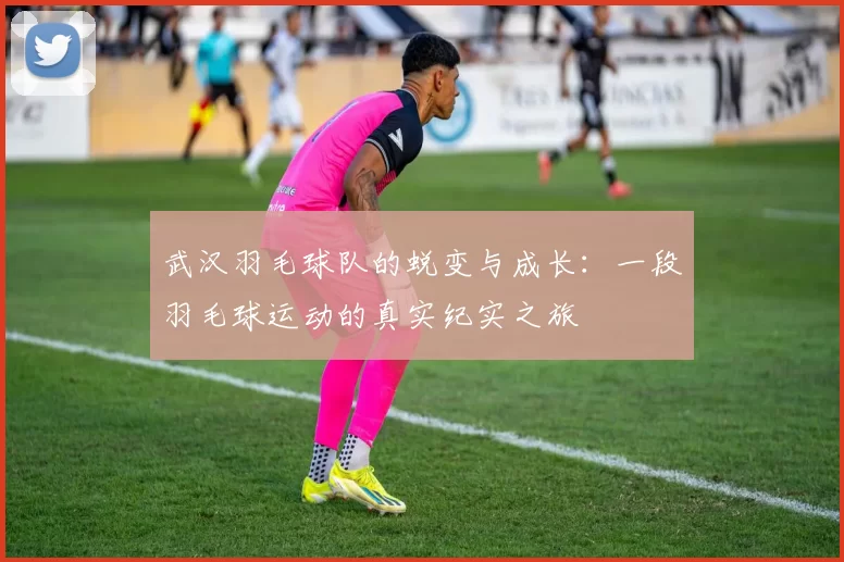 武汉羽毛球队的蜕变与成长：一段羽毛球运动的真实纪实之旅