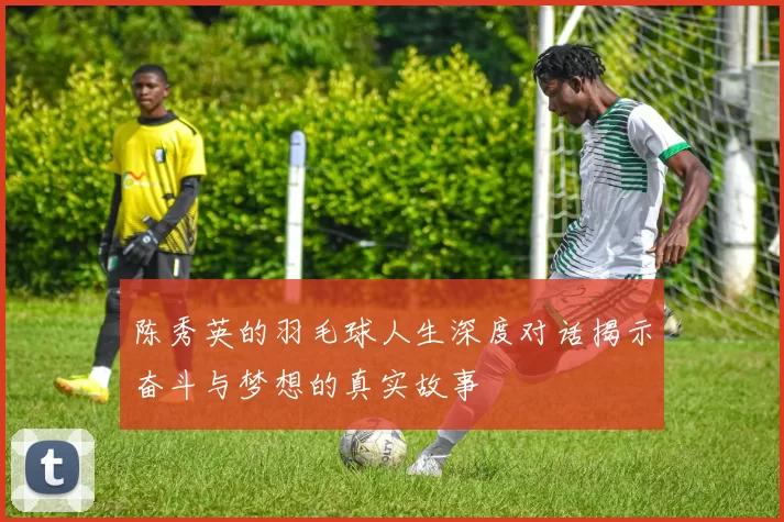 陈秀英的羽毛球人生深度对话揭示奋斗与梦想的真实故事