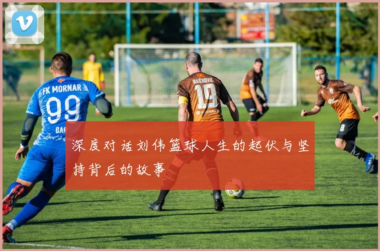 深度对话刘伟篮球人生的起伏与坚持背后的故事
