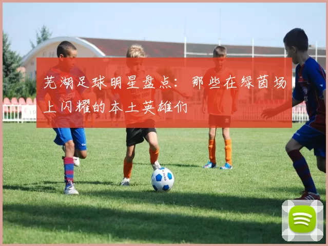 芜湖足球明星盘点：那些在绿茵场上闪耀的本土英雄们