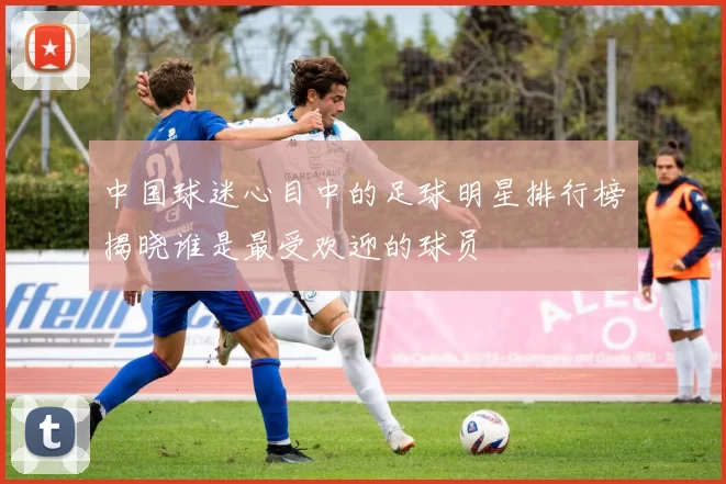 中国球迷心目中的足球明星排行榜揭晓谁是最受欢迎的球员