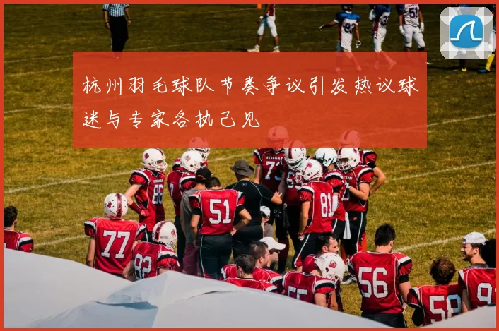 杭州羽毛球队节奏争议引发热议球迷与专家各执己见