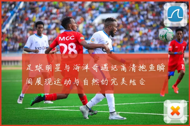 足球明星与海洋奇遇记高清抱鱼瞬间展现运动与自然的完美结合