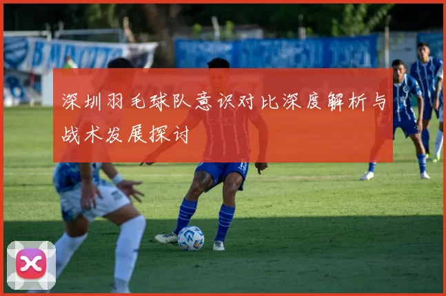 深圳羽毛球队意识对比深度解析与战术发展探讨