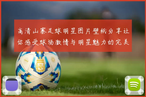 高清山寨足球明星图片壁纸分享让你感受球场激情与明星魅力的完美结合