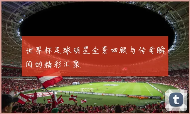 世界杯足球明星全景回顾与传奇瞬间的精彩汇聚