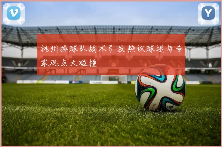 杭州排球队战术引发热议球迷与专家观点大碰撞
