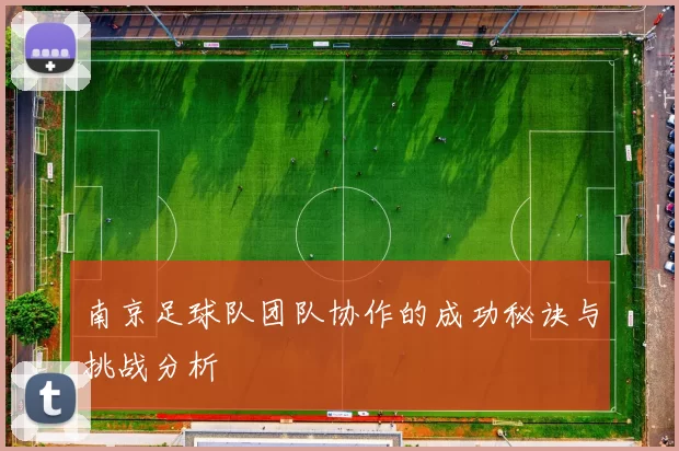 南京足球队团队协作的成功秘诀与挑战分析