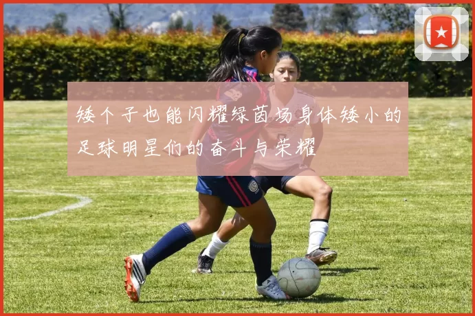 矮个子也能闪耀绿茵场身体矮小的足球明星们的奋斗与荣耀