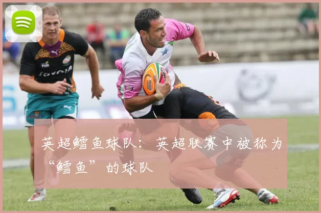 英超鳕鱼球队：英超联赛中被称为“鳕鱼”的球队