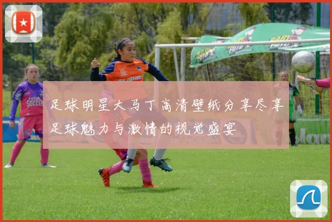 足球明星大马丁高清壁纸分享尽享足球魅力与激情的视觉盛宴