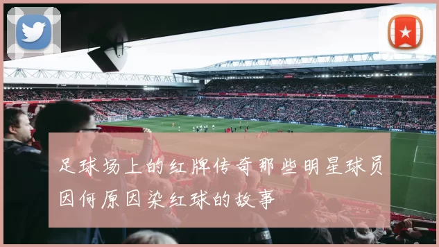 足球场上的红牌传奇那些明星球员因何原因染红球的故事