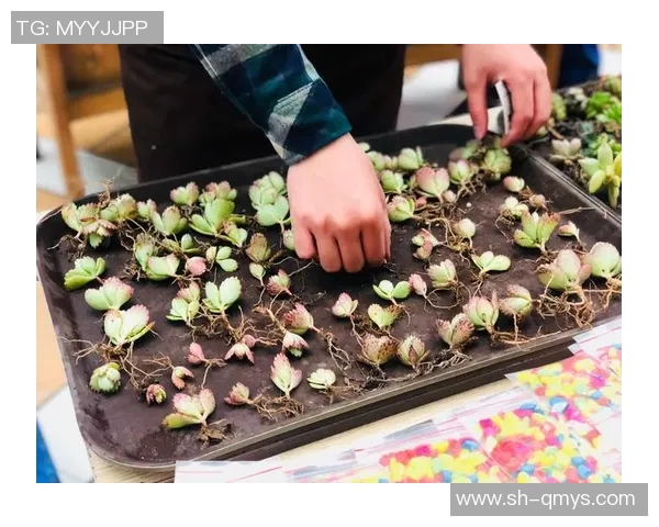 安德莱与贝弗伦对决赛果揭晓精彩瞬间回顾与分析