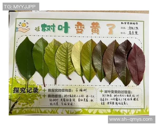 科学排球心理素质训练方法探讨与实践指导 科学排球心理素质训练方法探讨与实践指导