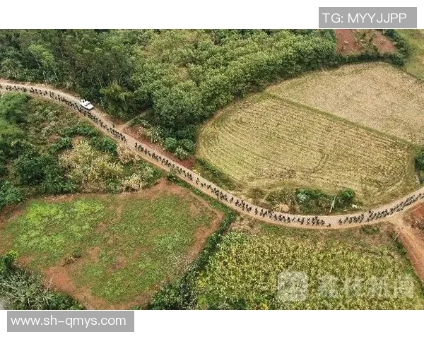 广州极限运动队中路突破战术解析与实战应用探讨