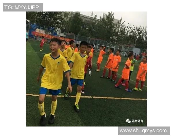 深圳足球队荣登足球比赛经验排行榜第五名引发热议